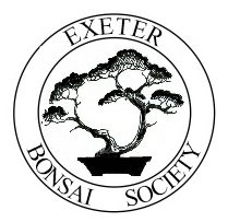 Exeter Bonsai Society