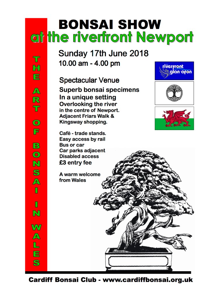Cardiff flyer 2018